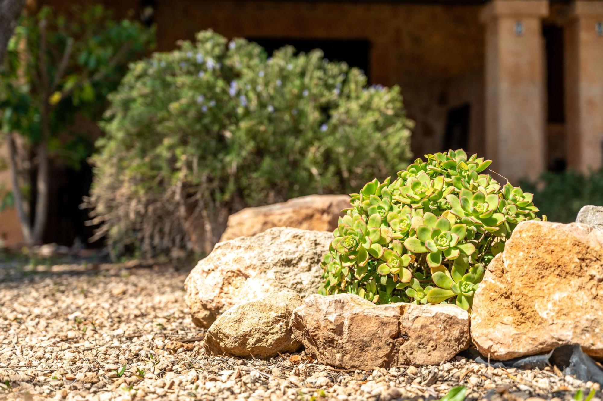Agroturismo Son Sampoli By Mhr Llucmajor  Exterior photo